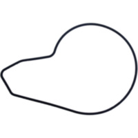 Water pump seal S410250024026
