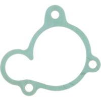 Water pump seal S410485024030
