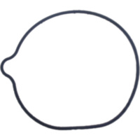 Water pump seal S410210024033