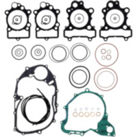 Complete gasket / seal kit P400485850054