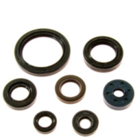 Engine oil seal kit P400485400188