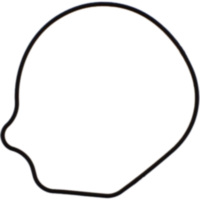 Water pump gasket