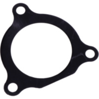 Exhaust gasket S410210012072