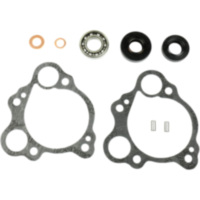 Water pump seal P400210348126