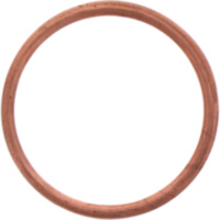 Exhaust gasket S410250012033