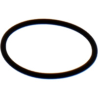 Krümmerdichtung O-Ring Athena M752503700094