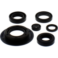 Shaft seal Set