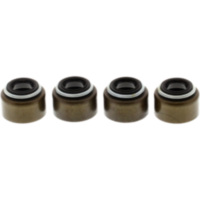 Valve stem seal kit jmp 7342708