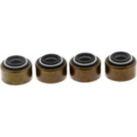 Valve stem seal kit jmp 7342712