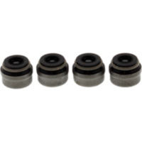 Valve stem seal kit jmp 7342747