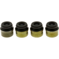 Valve stem seal kit jmp 7342758