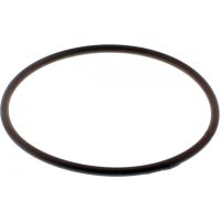 O-Ring Ölfilter für: Yamaha Originalersatzteil 93210-53801-00