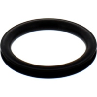 Fuel tank seal