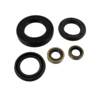 Shaft seal Set OSL424R