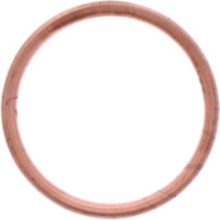 Exhaust gasket S410250012025