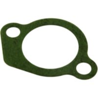 Cam chain tensioner gasket 3D81119500
