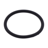 Exhaust gasket o-ring athena