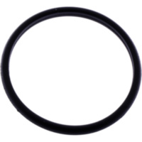 Exhaust gasket S410510012009