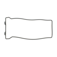 Valve cover gasket (orig spare part) 110610979