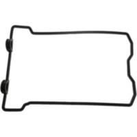 Valve cover gasket (orig spare part) 110611184