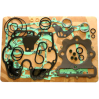 Complete gasket / seal kit P400210850220
