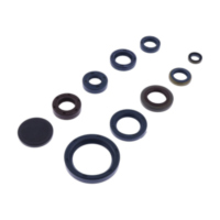 Shaft seal set athena P400090400220