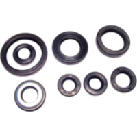 Engine oil seal kit P400485400041