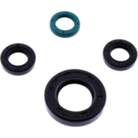 Shaft seal set athena P400210400188
