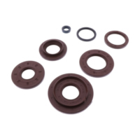 Shaft seal set athena P400210400212