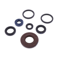 Shaft seal set athena P400210400211