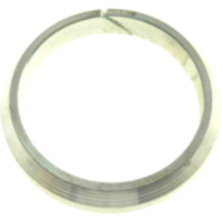 Exhaust gasket 1100938