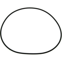 O-Ring 2.62X138MM