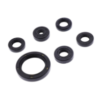 Shaft seal set athena P400250400068