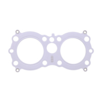 Cylinder head gasket (orig spare part) 110041341