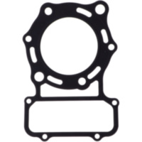 Cylinder head gasket (orig spare part) 110041135