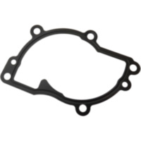 Dicht water pump cover (orig spare part) 975833