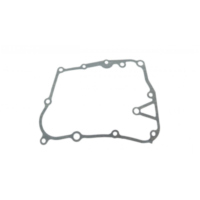 Oil pump gasket (orig spare part)