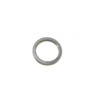 Exhaust gasket (orig spare part) 976619