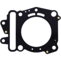 Cylinder head gasket (orig spare part) 976712