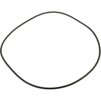 O-Ring 979899