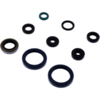 Shaft seal set athena P400250400069