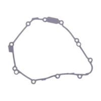 Alternator cover gasket (orig spare part) 999875