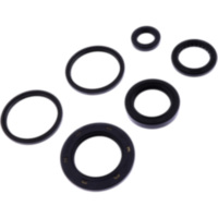 Shaft seal set athena P400210400232