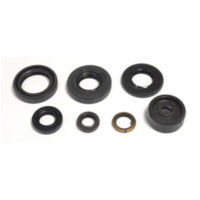 Shaft seal set athena P400485400087