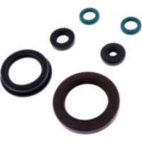 Shaft seal set athena P400485400111