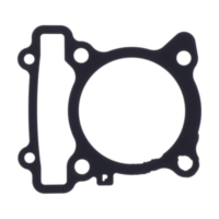 Cylinder base gasket (orig spare part) 1036302