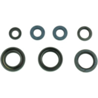 Shaft seal set athena P400485400210