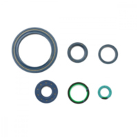 Shaft seal set athena P400110400750