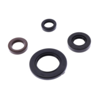 Shaft seal set athena P400485400056