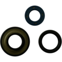 Shaft seal set athena P400480400040